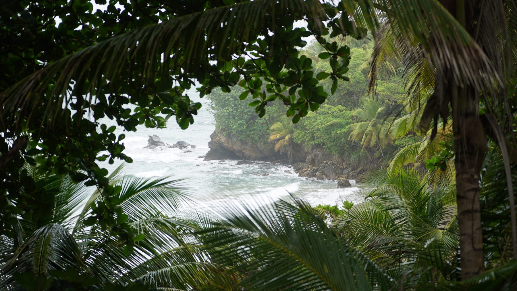 Blanchisseuse